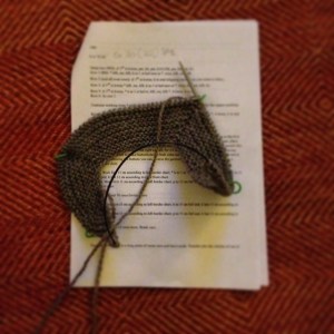 Sara sta testando il modello del mio baby cardi