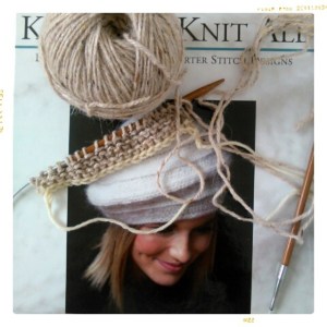 Knit One Knit All, il libro di EZ in cui potete trovare questo modello