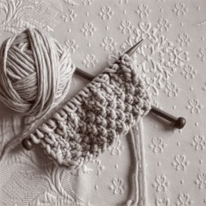 Nomada di Katia su ferri 10