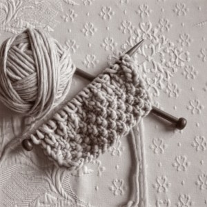 Nomada di Katia su ferri 10