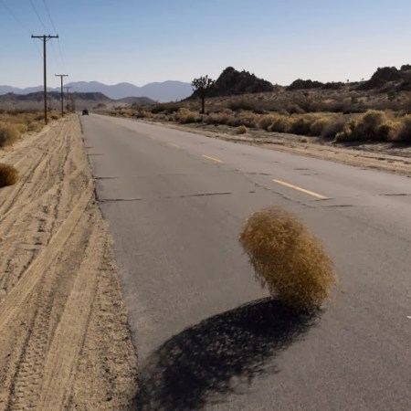 Il gomitolo del deserto