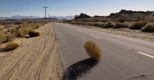 Il gomitolo del deserto