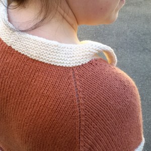 La semplice e lineare sagomatura del raglan bottom up di Geis