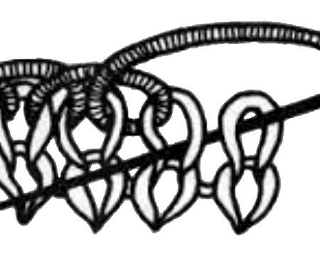 EZ stessa ha tracciato questo disegno per il suo cast on bind off