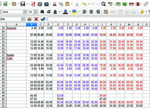 Una sezione del foglio di calcolo per un capo in più taglie