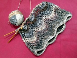 Collo a punto pavone ai ferri Onda su onda.